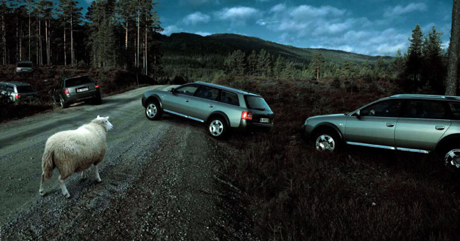 661x346, 140 Kb / овца, дорога, авто