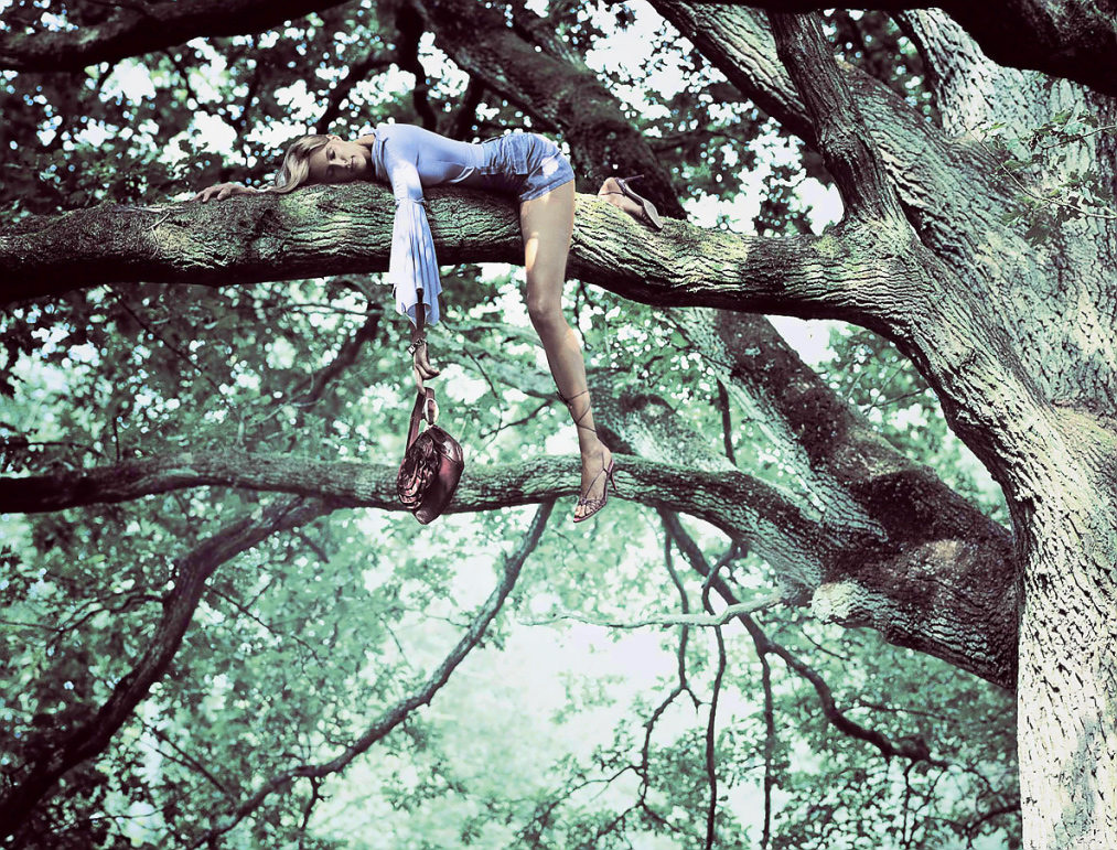 1013x771, 341 Kb / ленивец, дерево, сук, сумка, девушка, нога, шорты, попа, блондинка