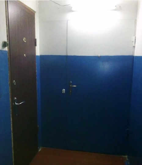 465x542, 289 Kb / дверь, подъезд, маскировка