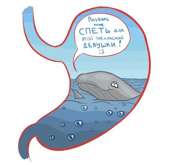 600x575, 39 Kb / желудок, кит, песня, девушка