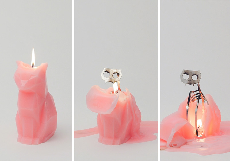 800x563, 59 Kb / свеча, скелет, кот