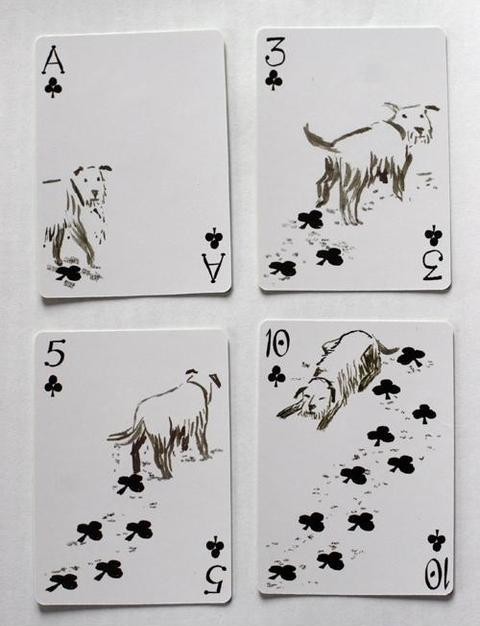 480x626, 50 Kb / собака, карты, следы