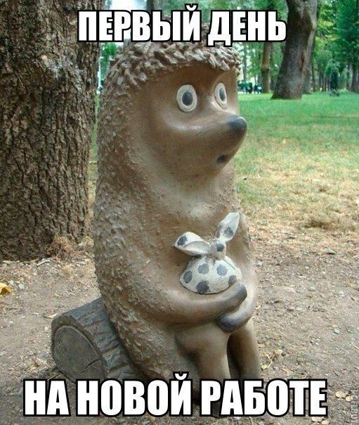 511x604, 84 Kb / ежик, скульптура