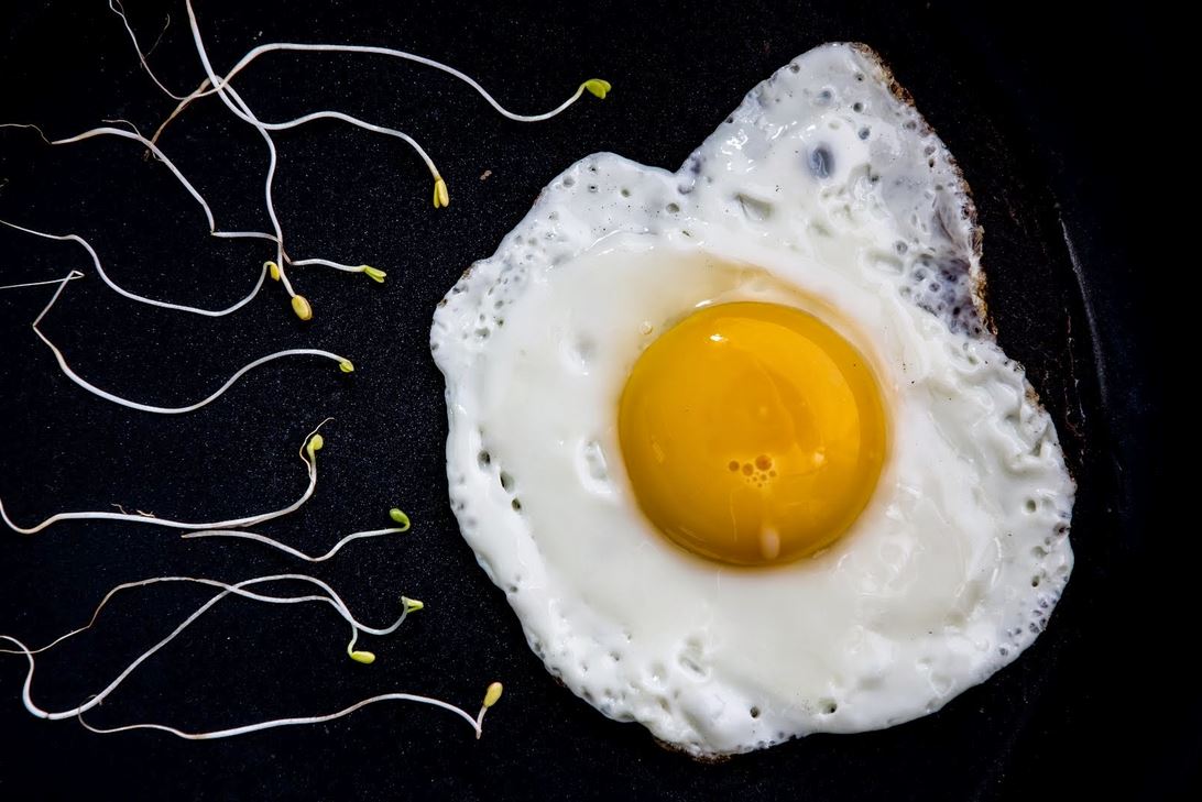 1092x729, 110 Kb / яйцо, яичница, белок, желток, ростки