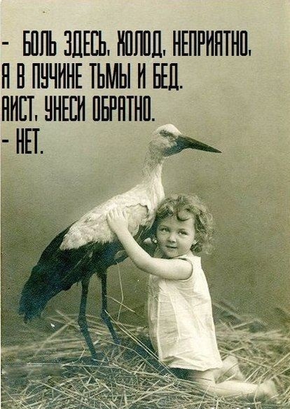 414x583, 100 Kb / аист, ребенок