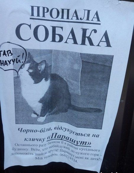 453x583, 83 Kb / собака, объявление, парашЮт