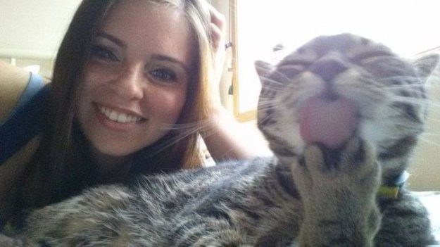 625x351, 36 Kb / девушка, кот