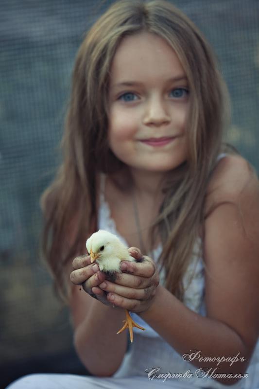 533x800, 79 Kb / Наталья Смирнова, девочка, птичка, цыплёнок