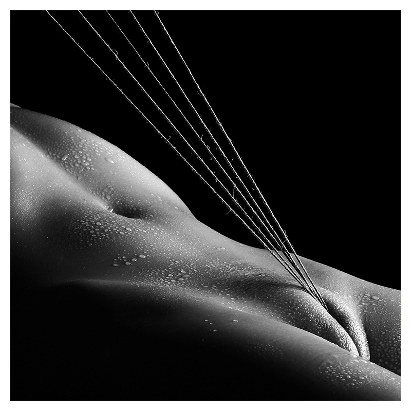 800x800, 202 Kb / ч/б, струны, нитки, натянуты, капли, вода, пот, пизда