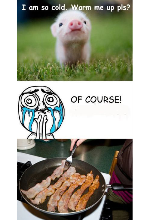 499x730, 218 Kb / поросенок, бекон