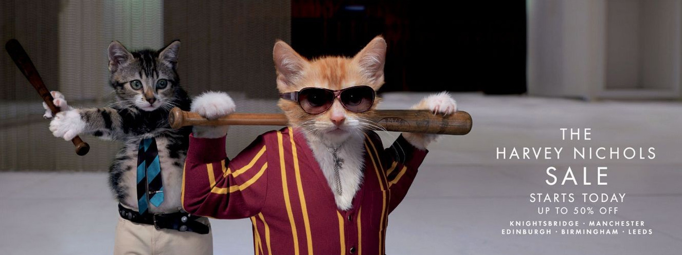 1326x497, 185 Kb / бита, коты, очки