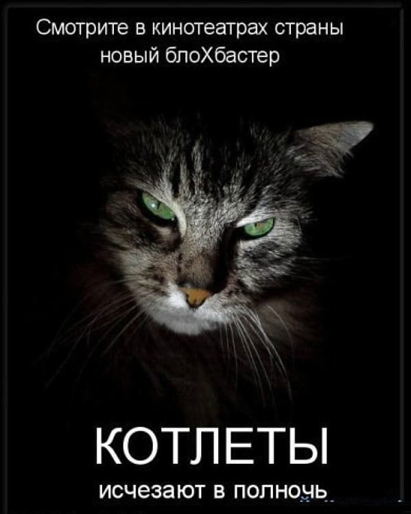 599x749, 61 Kb / афиша, кот