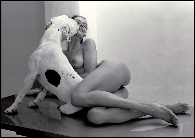 640x452, 142 Kb / ч/б, собака