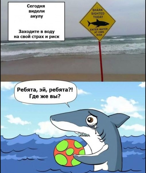 509x604, 53 Kb / пляж, акула, мяч, предупреждение