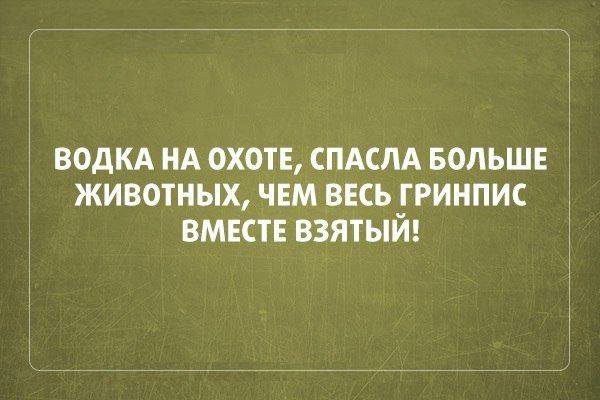 600x400, 32 Kb / водка, охота, гринпис