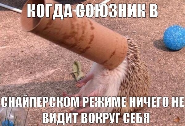 600x410, 71 Kb / Ёж, wot, втулка