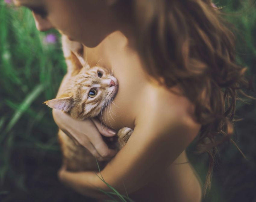 850x670, 127 Kb / котэ, рыжая, ручки, обнимашки