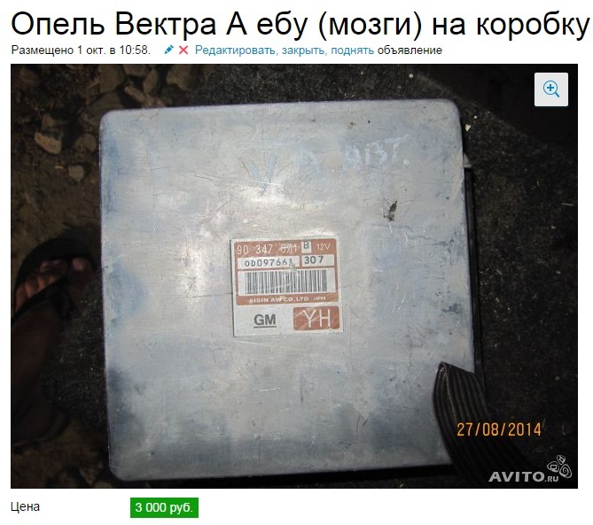 669x593, 113 Kb / объявление, ебу, мозги, эбу