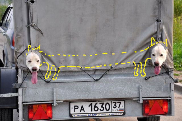 640x424, 80 Kb / прицеп, собака, язык, тент