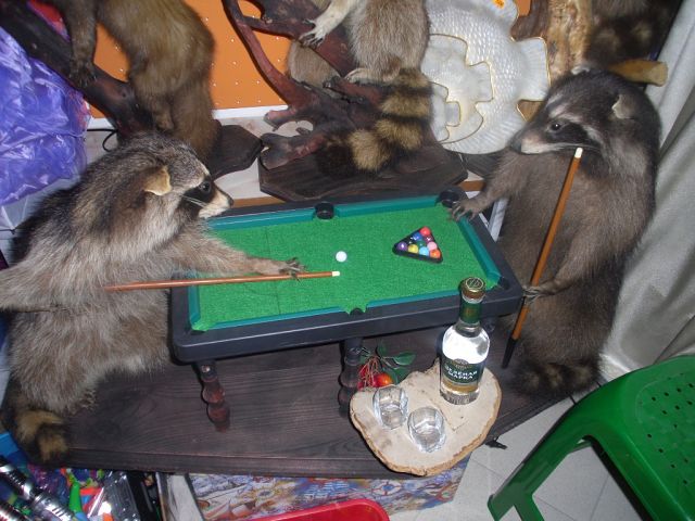 640x480, 61 Kb / бильярд, чучела, водка