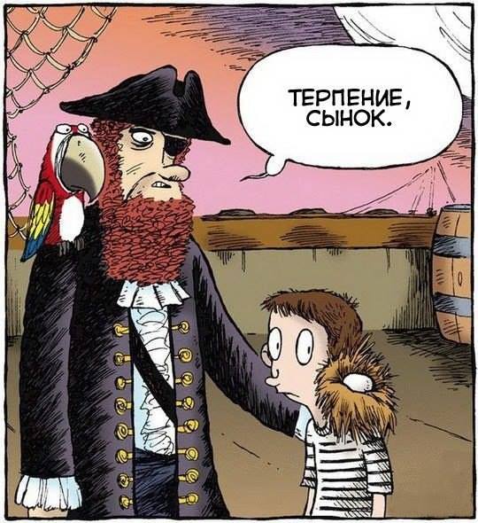 540x590, 66 Kb / пират, сын, попугай, гнездо, яйцо, корабль