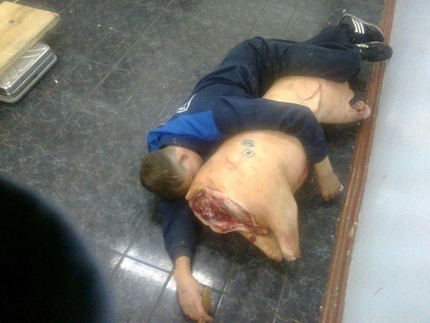 604x453, 51 Kb / байки, юмор, туша, свинище