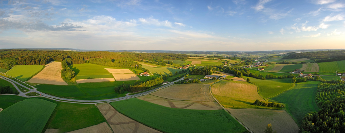 1200x465, 209 Kb / небо, поле, лес, шар, тень