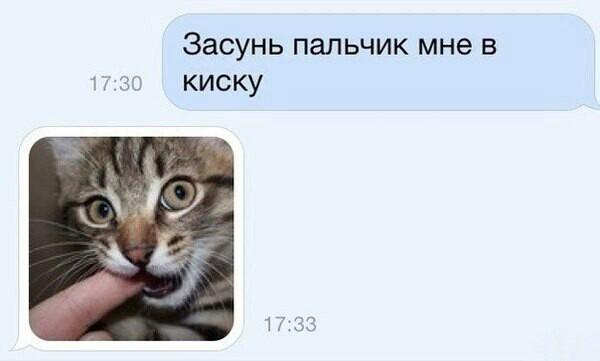 600x361, 17 Kb / пальчик, киска