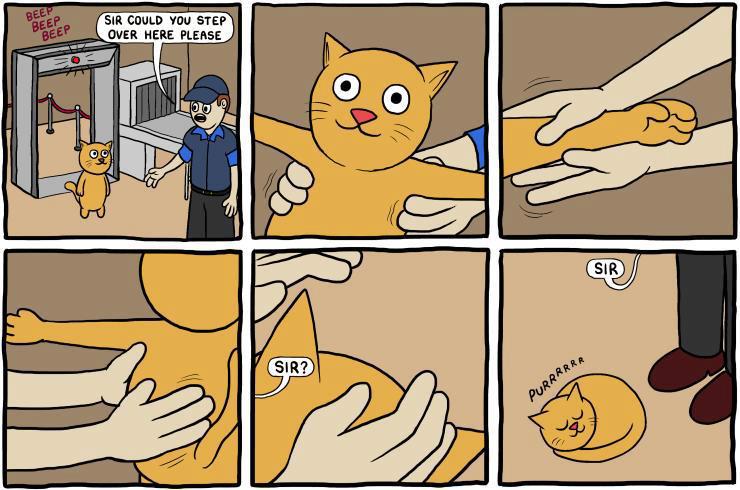 740x490, 63 Kb / кот, аэропорт, металлодетектор, осмотр