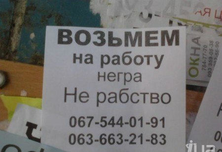 450x307, 25 Kb / негр, работа, объявление