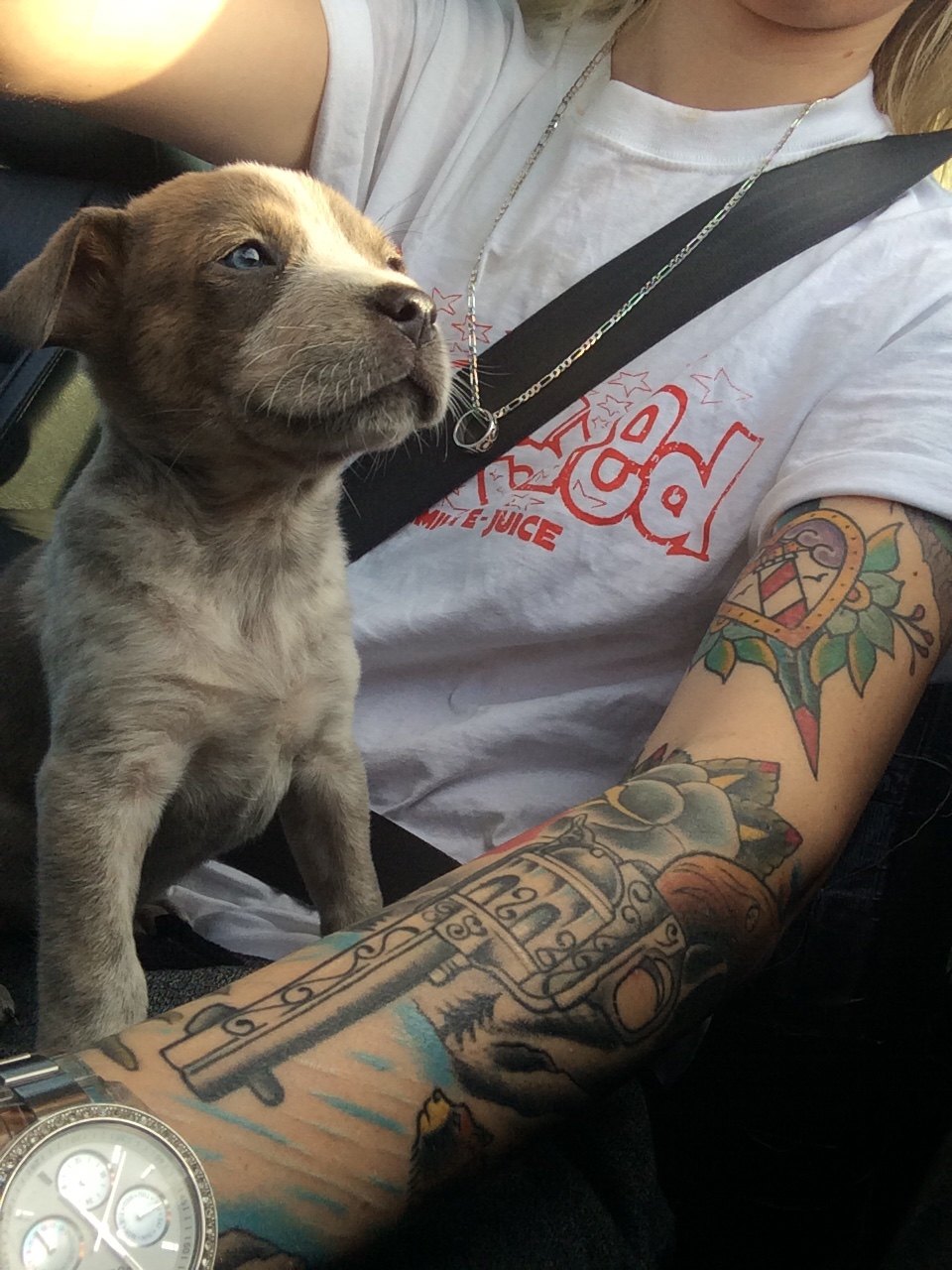 960x1280, 219 Kb / щенок, тату, кольцо, ремень, цепочка, часы