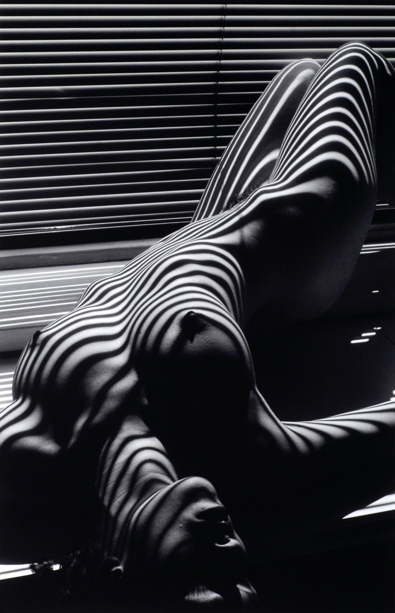 1291x2000, 311 Kb / сиськи, свет, тень, ч/б, жалюзи