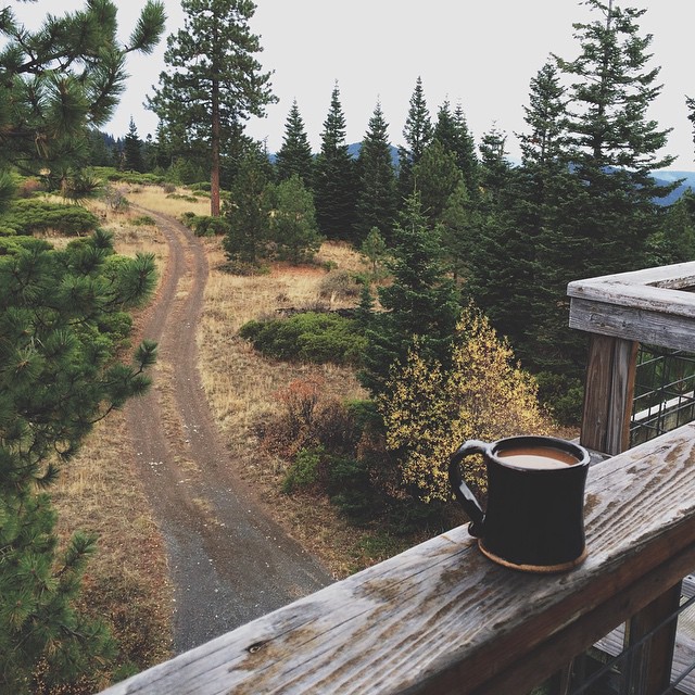 640x640, 170 Kb / кофе, чашка, лес, дорога