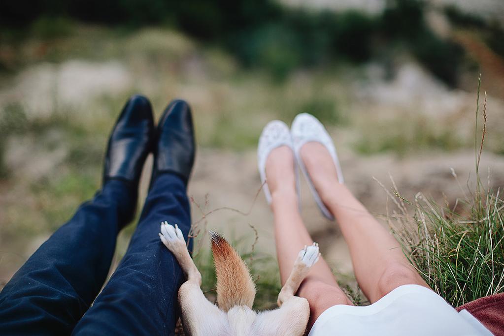 1023x683, 68 Kb / ноги, лапы, туфли, хвост