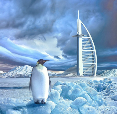 480x469, 179 Kb / пингвин, гостиница, отель, Дубаи, снег, фотошоп