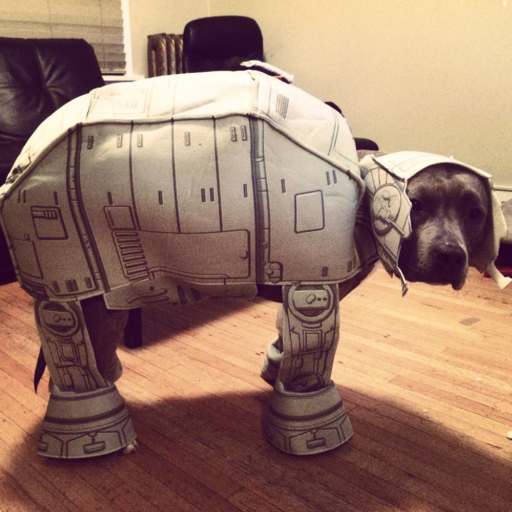 1000x1000, 222 Kb / собака, костюм, star wars