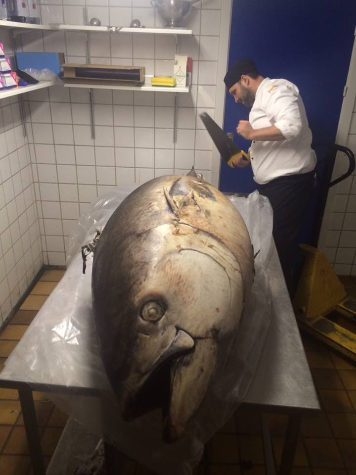 720x960, 58 Kb / тунец, рыба, повар