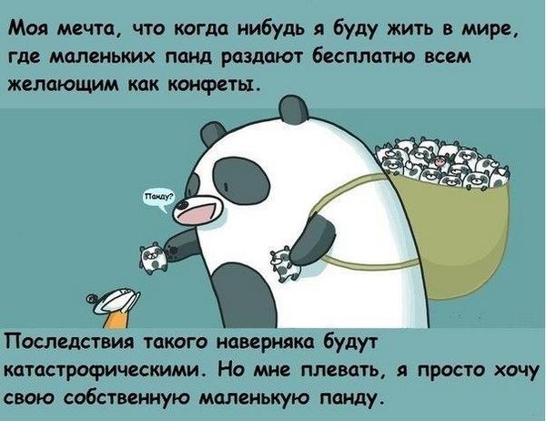 600x462, 41 Kb / панды, конфеты, мечта