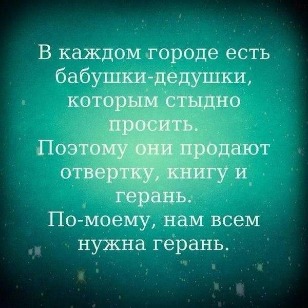 600x600, 57 Kb / Бабушка, дедушки, герань, сострадание