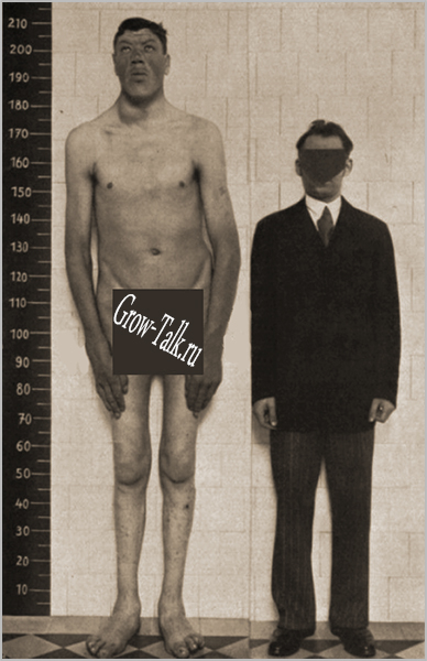 388x600, 174 Kb / карлик, гигант