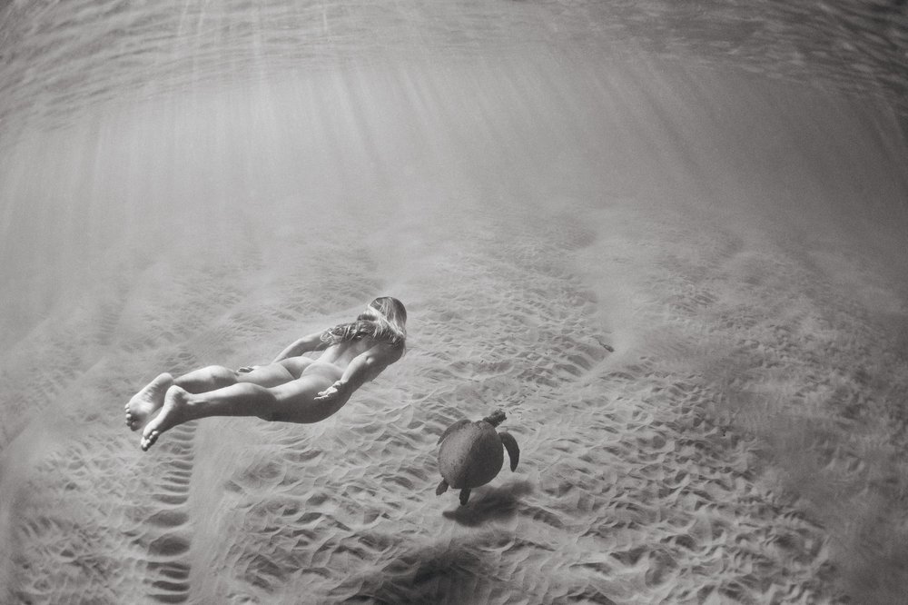 1000x666, 95 Kb / черепаха, голая, под водой, ч/б