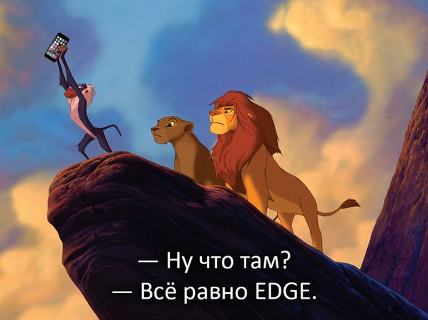 604x452, 45 Kb / телефон, edge, связь, лев, львы, обрыв, обезьяна