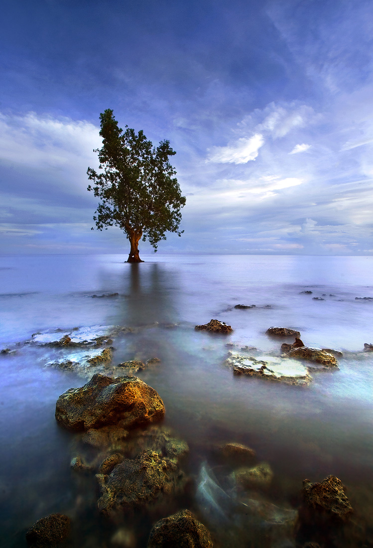 749x1100, 263 Kb / дерево, камни, вода, небо, облака, туман