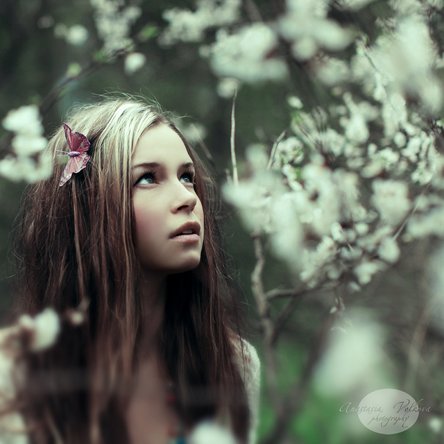 640x640, 181 Kb / Анастасия Волкова, volkova, бабочка, девушка, блондинка, ветки, дерево