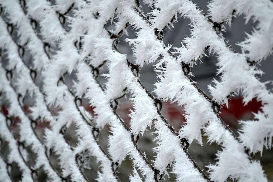 900x600, 105 Kb / Иней, сетка, зима, красота, рабица