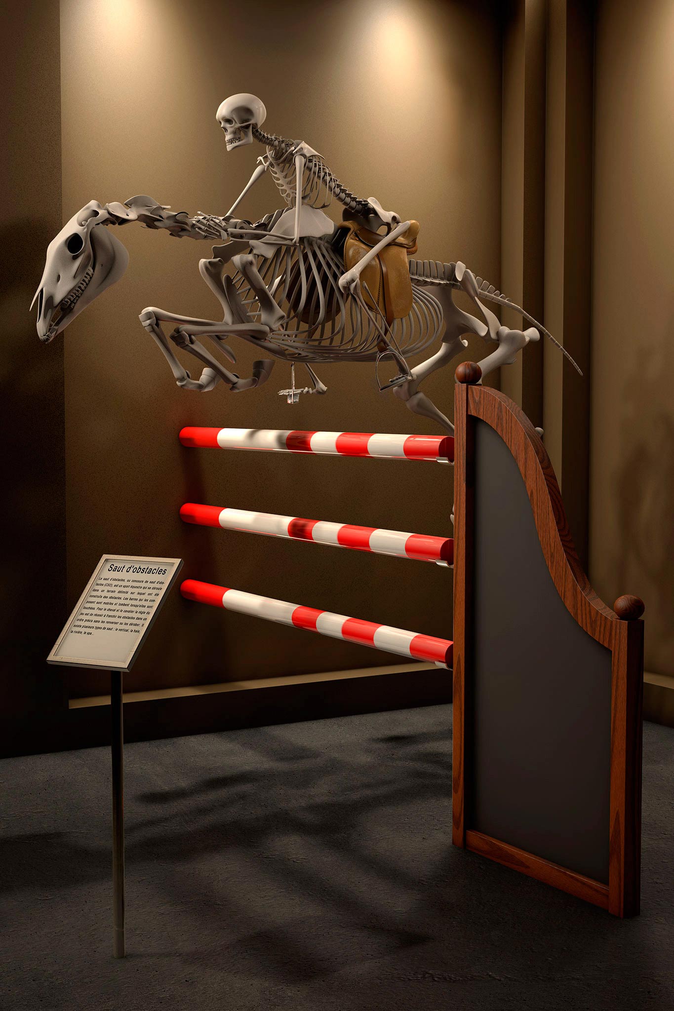 1365x2048, 299 Kb / музей, скелет, лошадь, наездник, барьер, седло