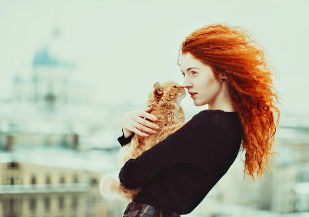 604x424, 35 Kb / Рыжая, кот, красота