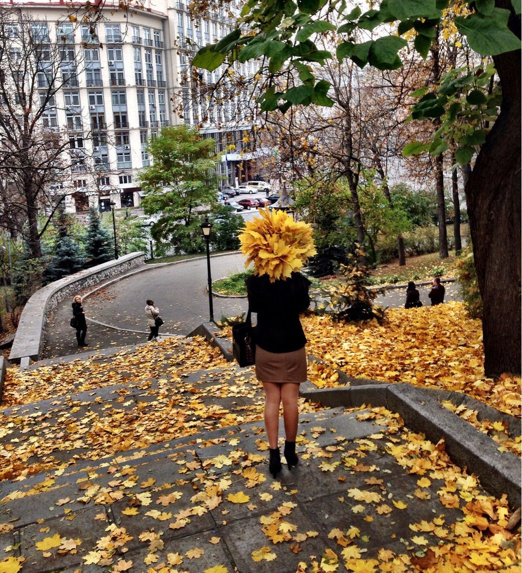 1045x1147, 349 Kb / осень, листва, ступени, лестница, деревья, девушка, красивые ноги