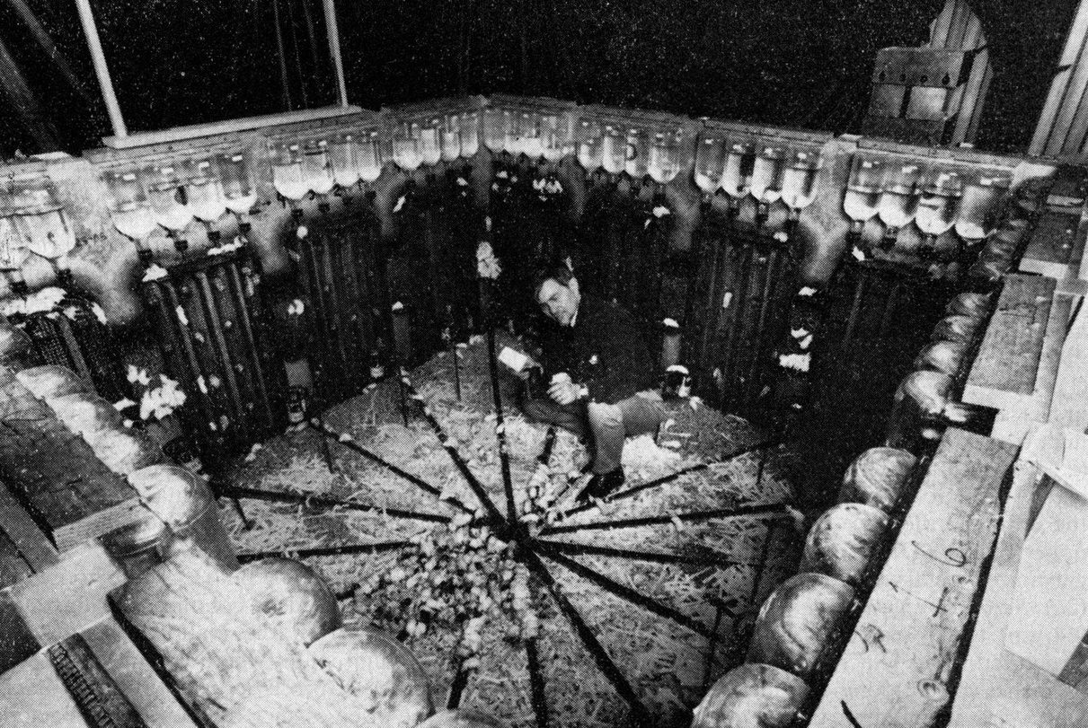 1211x811, 345 Kb / крысы, доктор, эксперимент