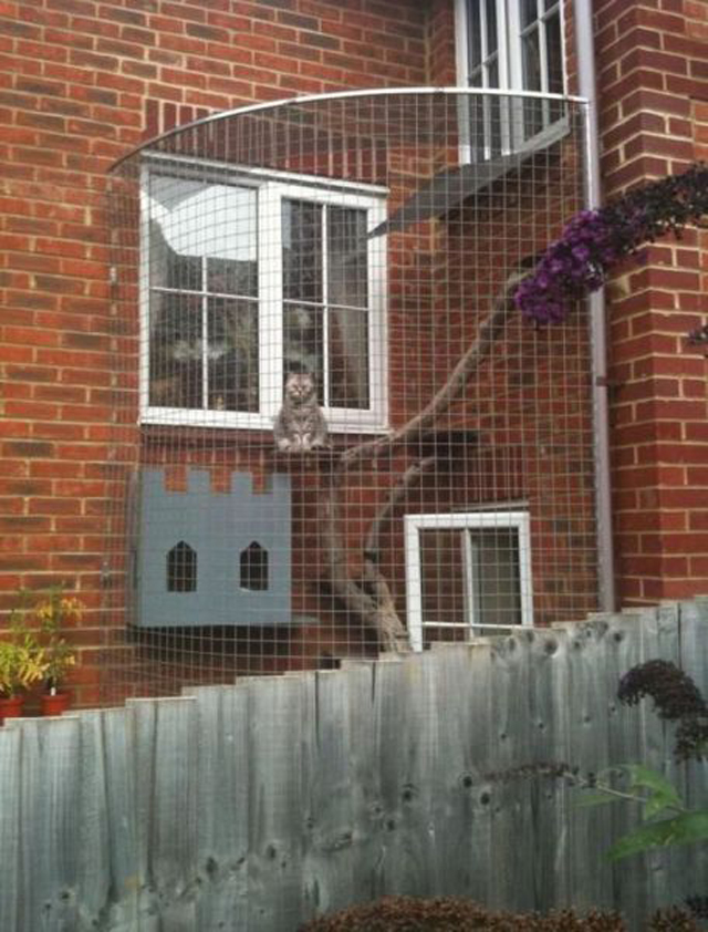 640x842, 307 Kb / Кошка, клетка, улица